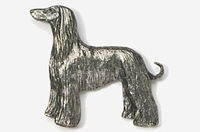 Pin Afghanhund