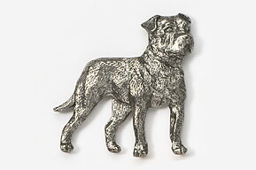Pin American staffordshire terrier
