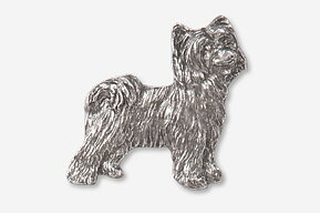 Pin Chinese crested dog, powder puff