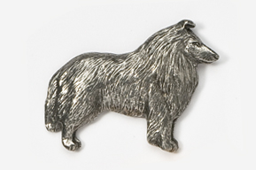 Pin Collie, långhårig