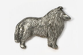 Pin Collie, långhårig