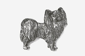 Pin Papillon