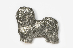 Pin Bichon havanais
