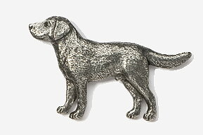 Pin Labrador retriever