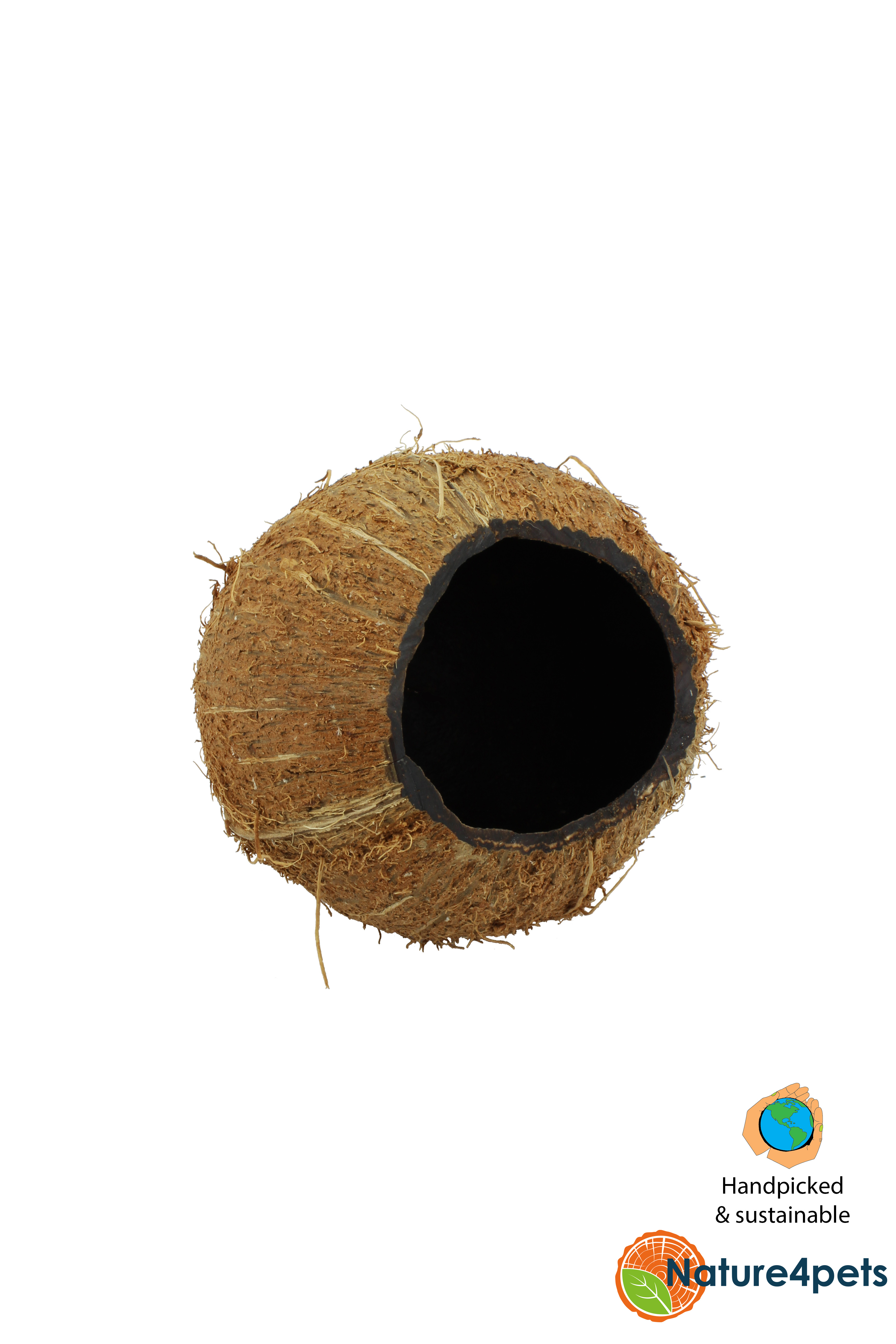 Coco cave 3/4 1x