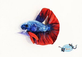 Beta fish plush