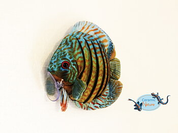 Discus fish plush