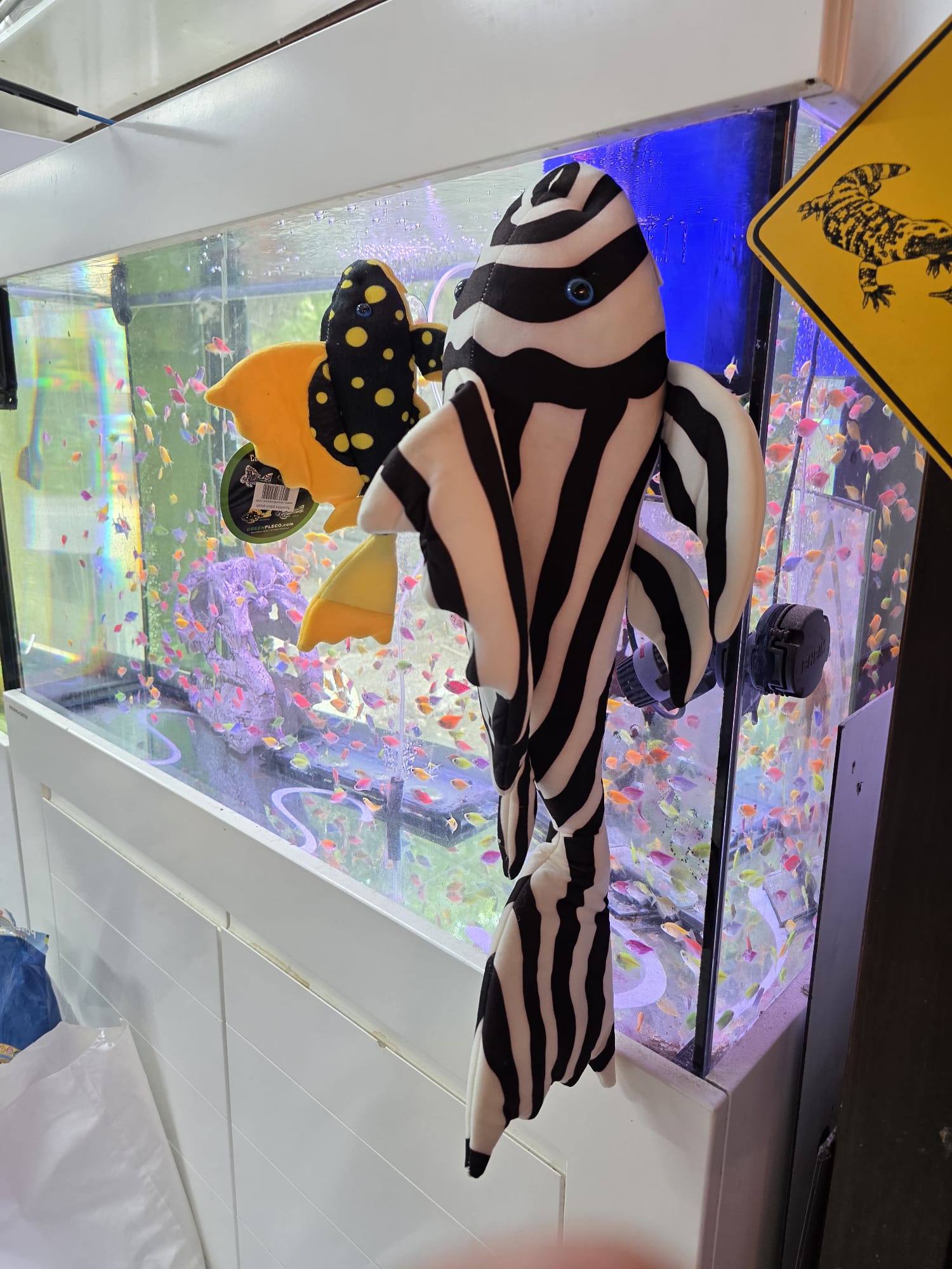 Zebra pleco plush - 2