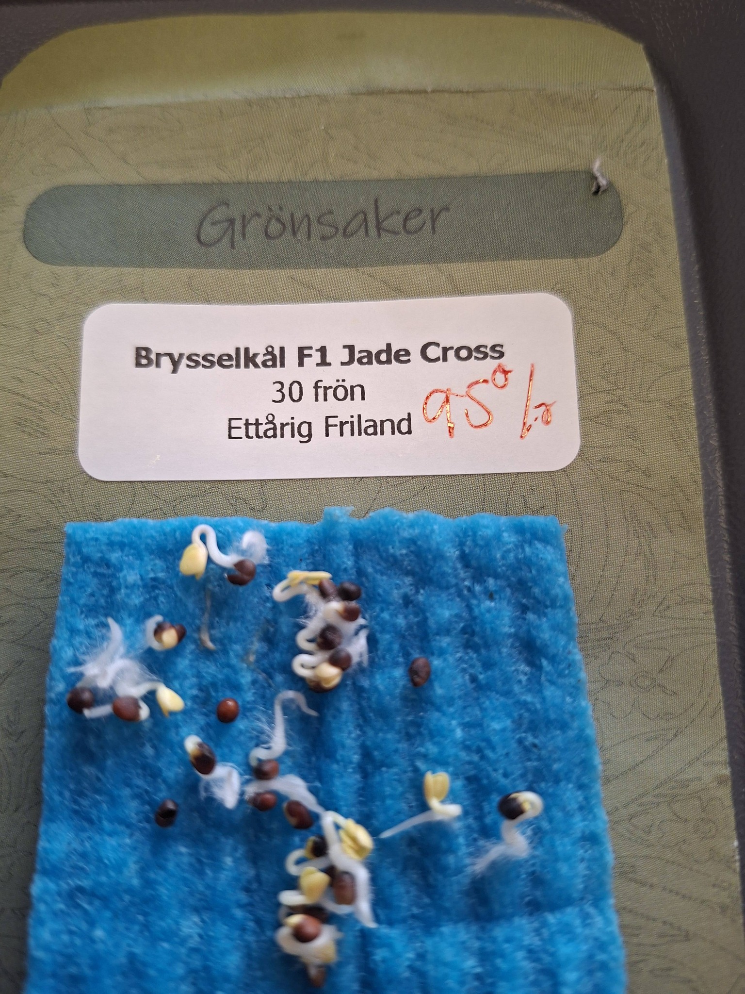 Brysselkål " F1 Jade Cross" 30 frön - 2