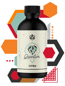 Abstrax Quantum