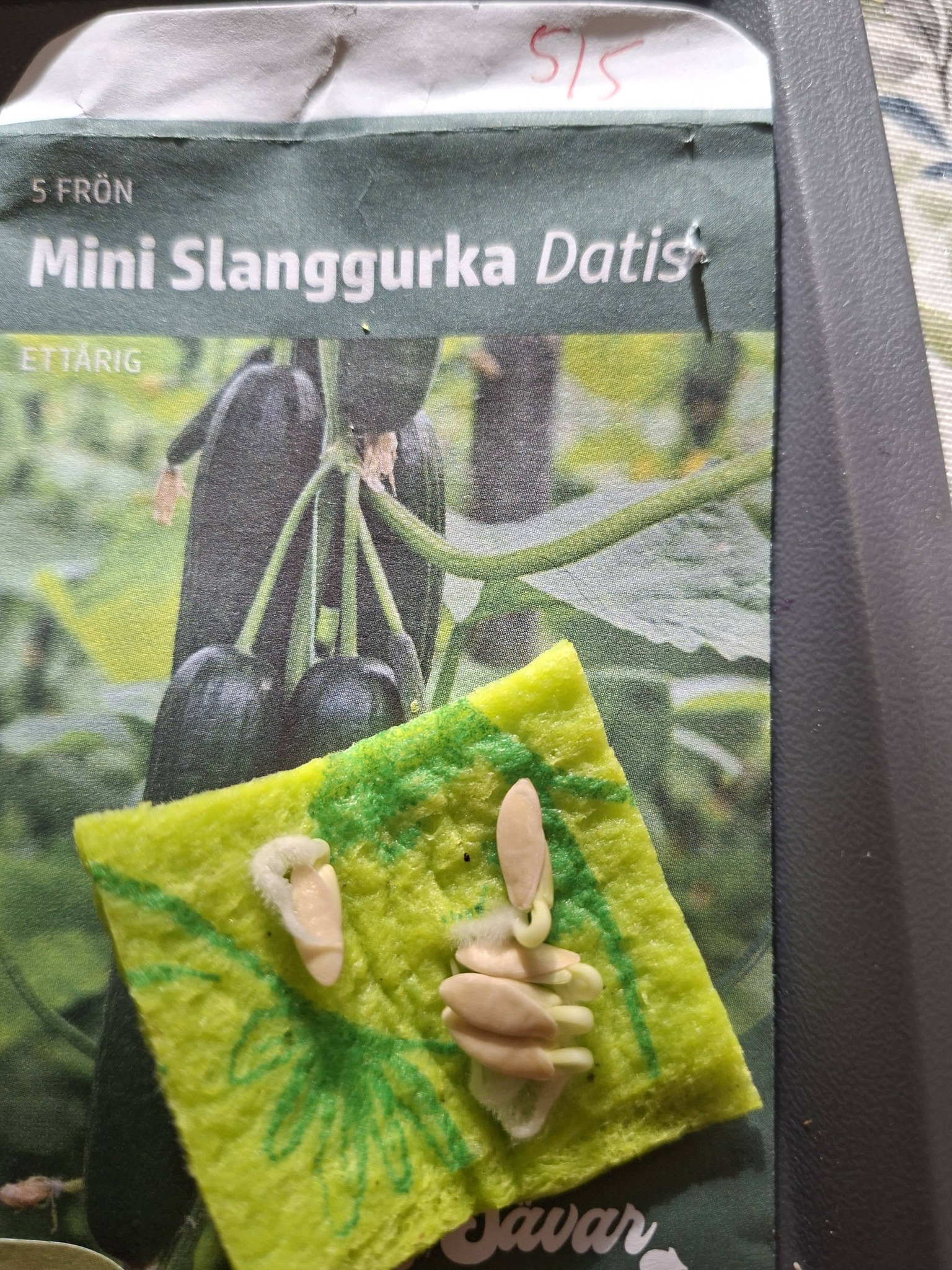 Minigurka F1 "Datis" 5 frön - 2