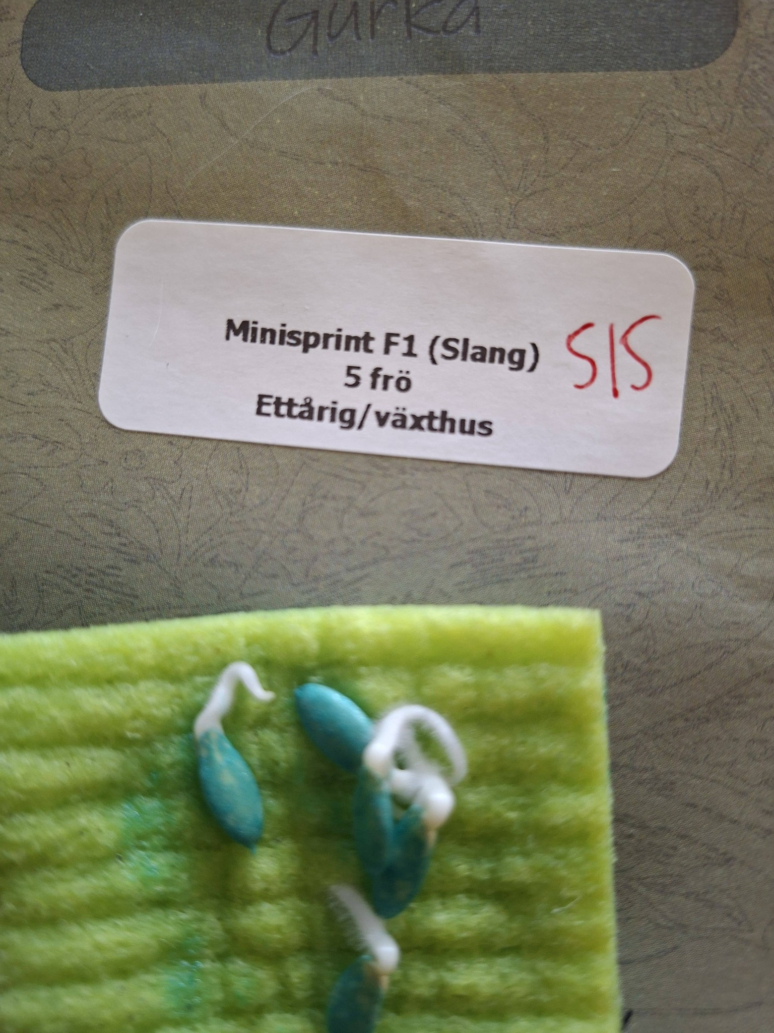 Minigurka Minisprint F1 5 Frö - 2