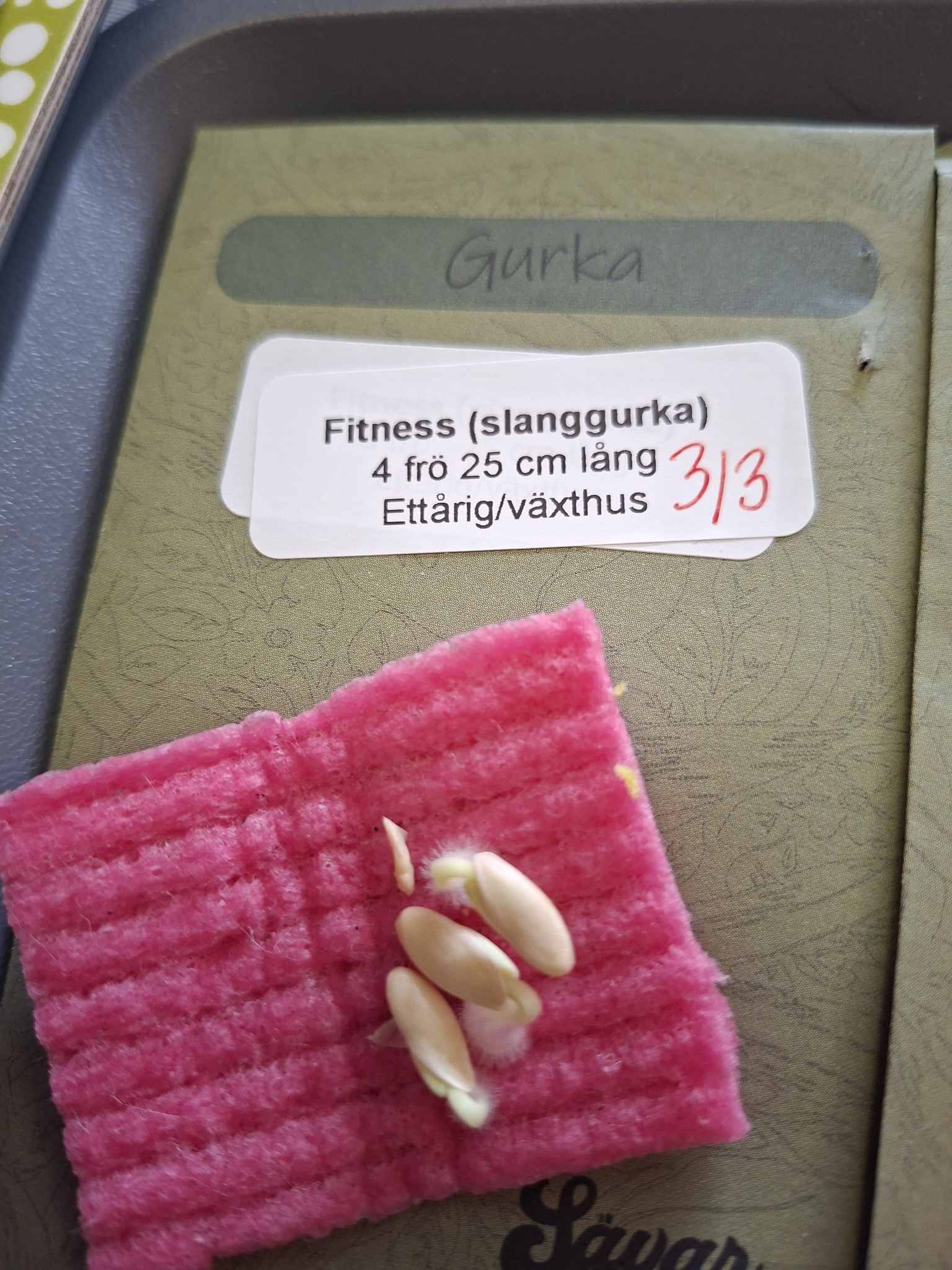 Gurka (slang) Fitness F1 4 frö - 2