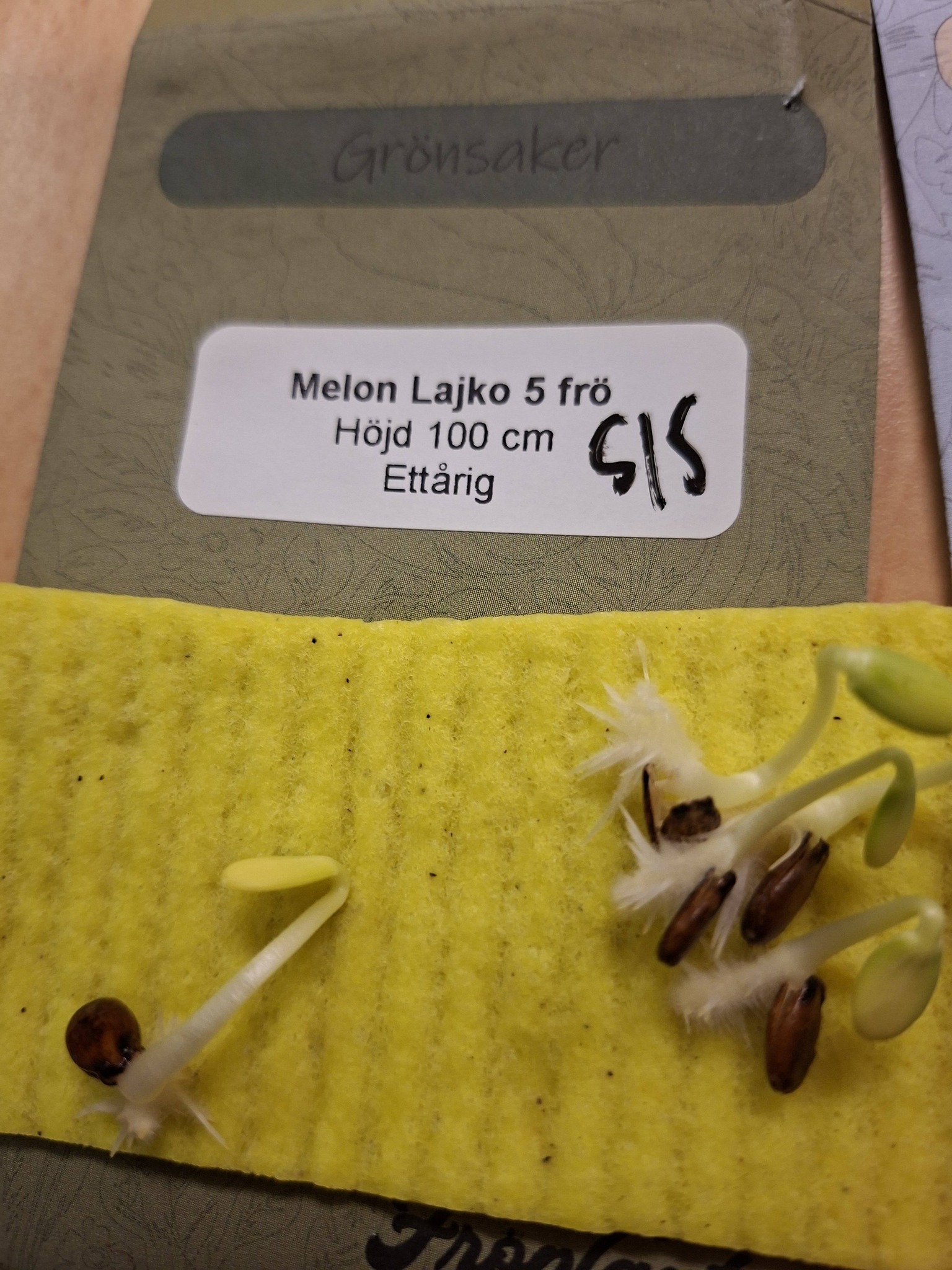 Melon (vatten) Lajko F1 5 frön - 2