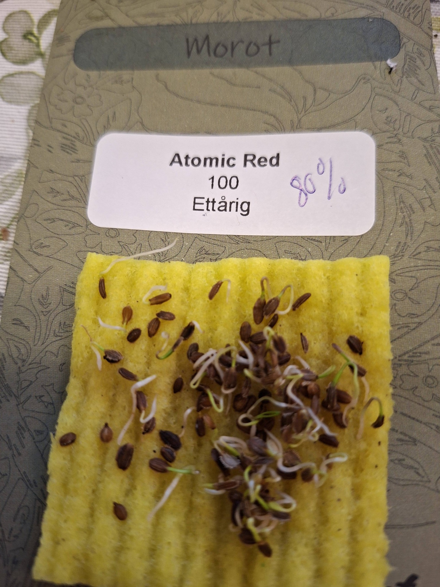 Morot Atomic Red  100 frö  - 2