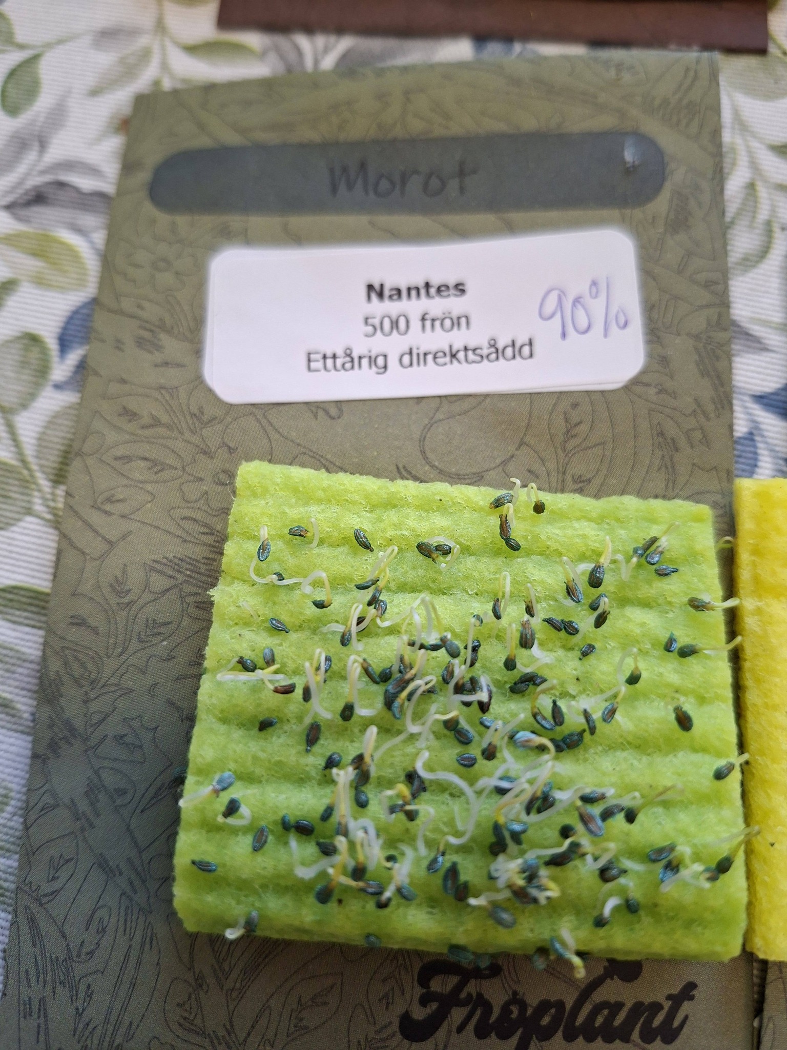 Morot Nantes  500 frö   - 2