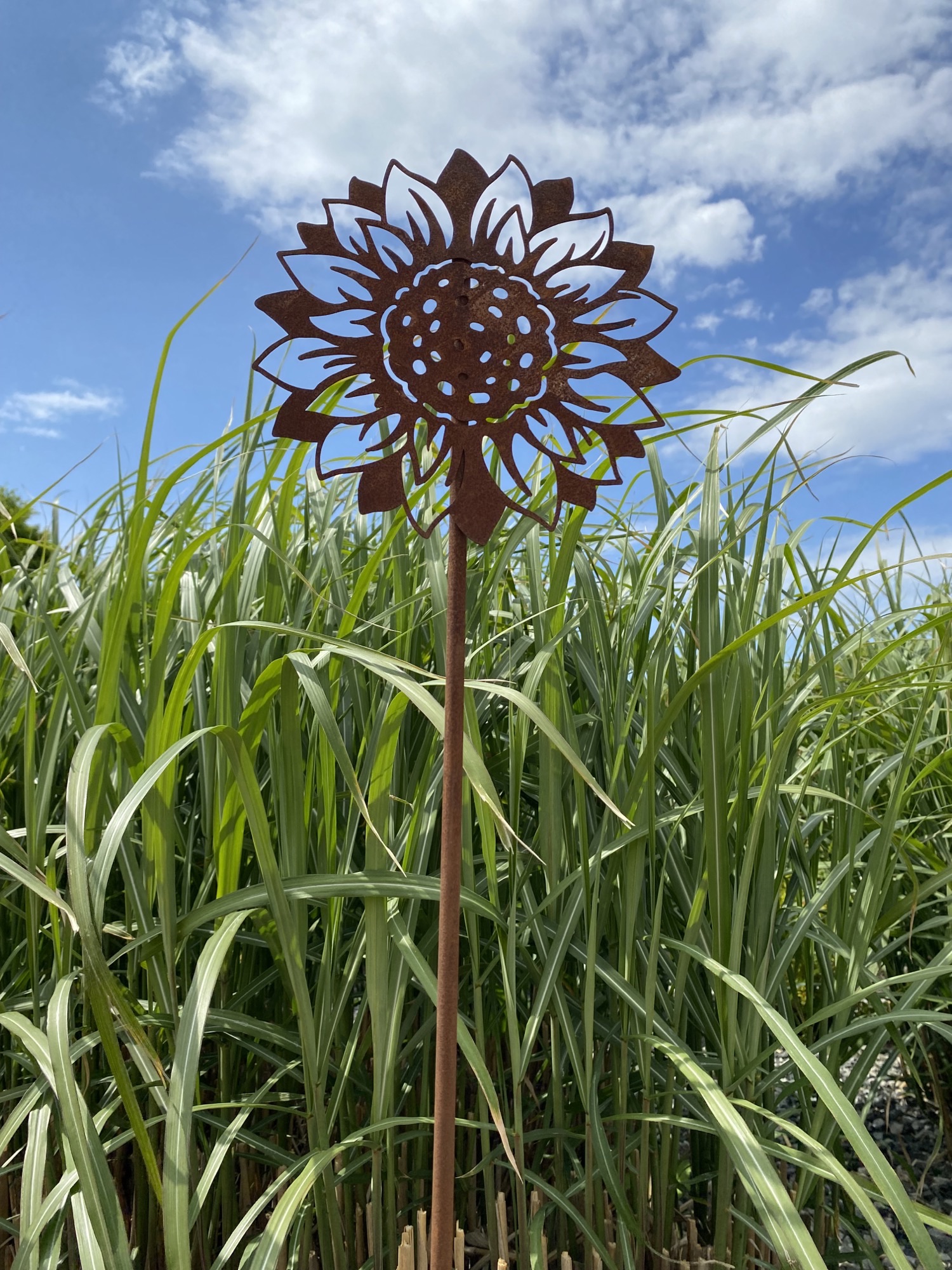 Sonnenblume am Stecker/ 12 Stück pro Packung