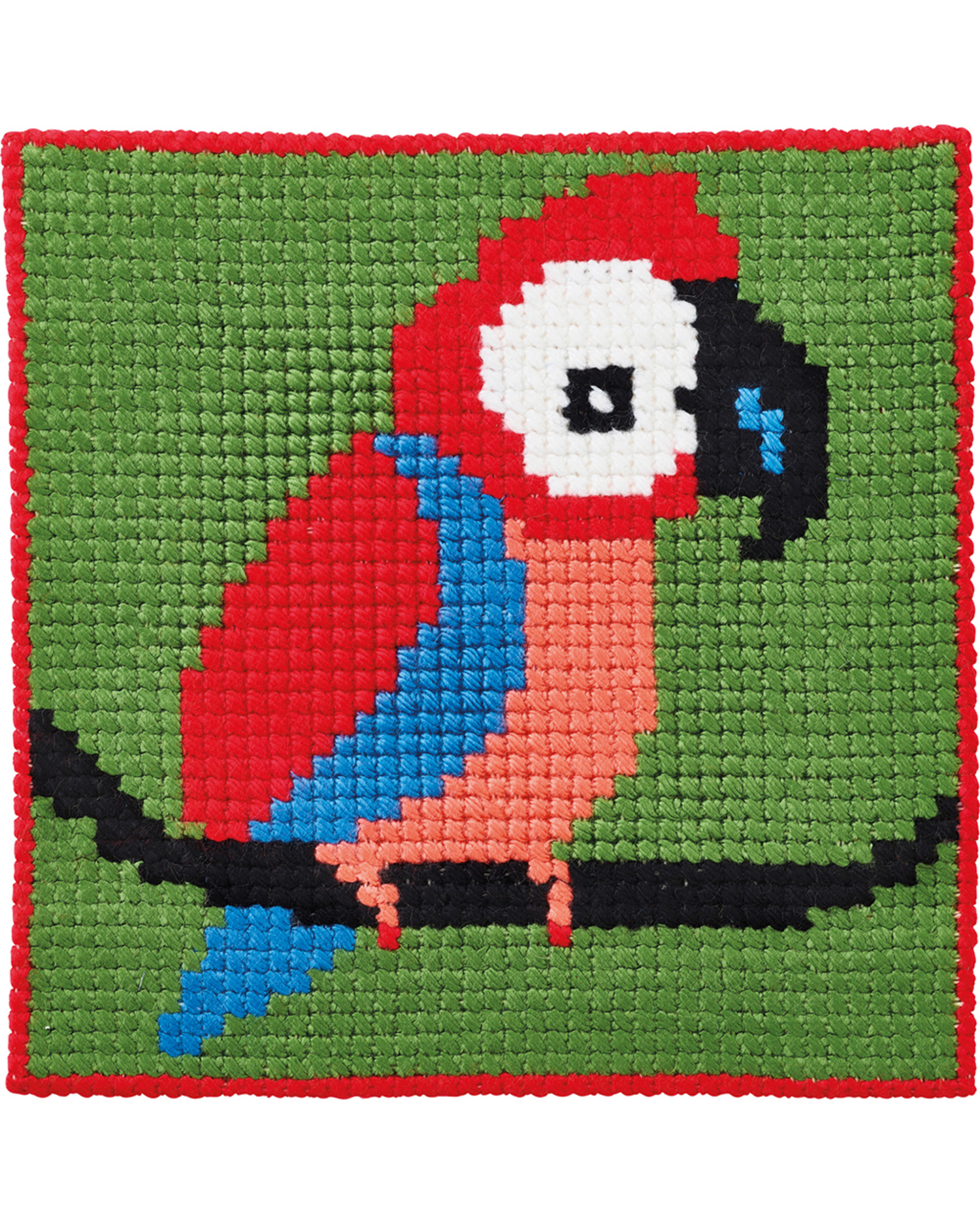 Barnbroderi 25x25 Papegoja