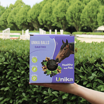 UNIQUE STABLE BALL COMPLEMENTARY FEED
