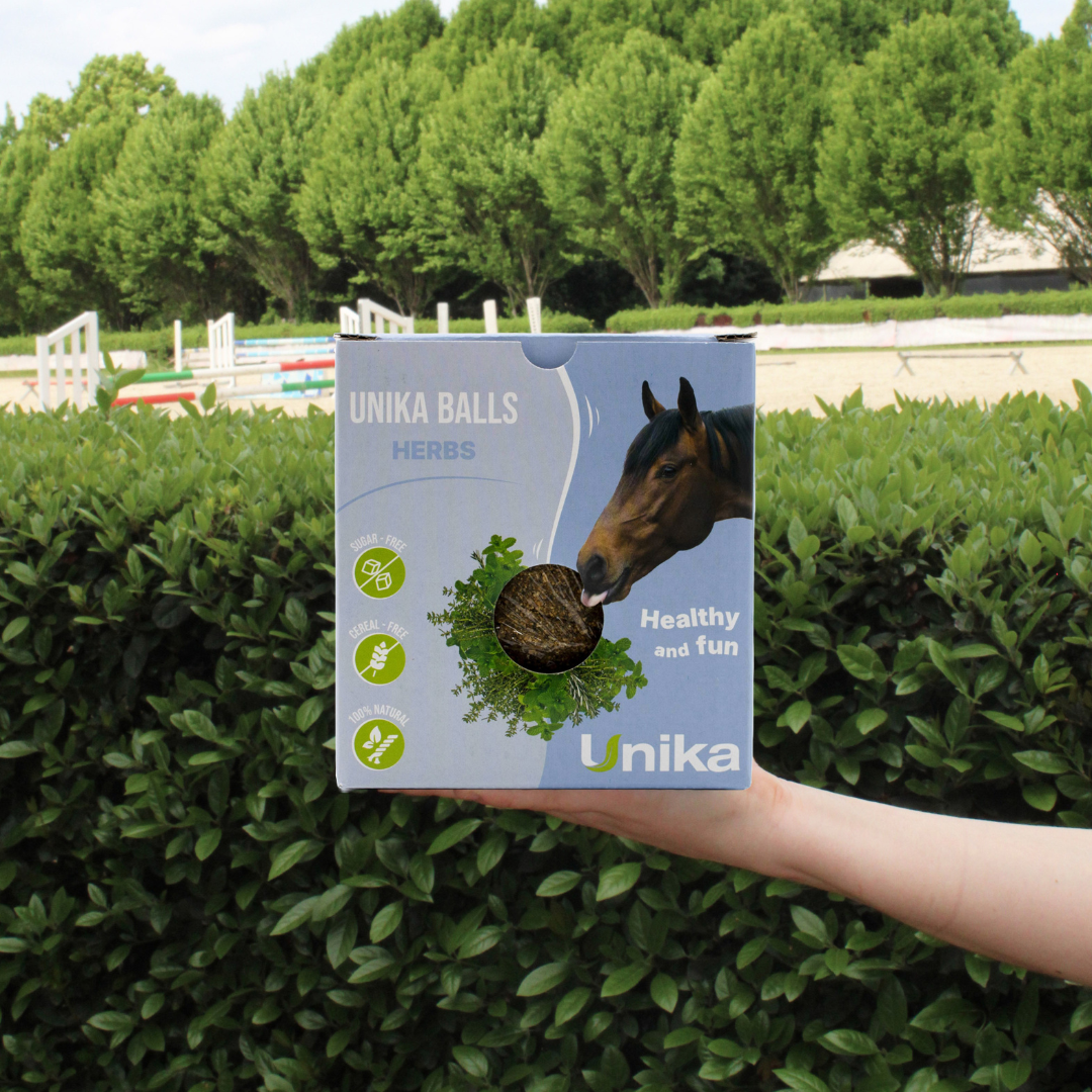 UNIQUE STABLE BALL COMPLEMENTARY FEED - 3