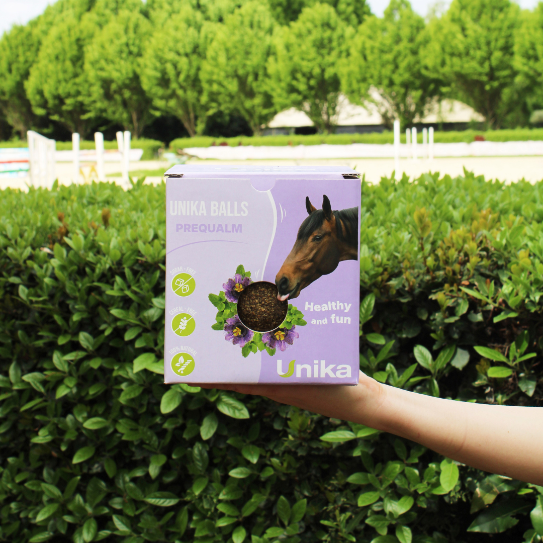 UNIQUE STABLE BALL COMPLEMENTARY FEED