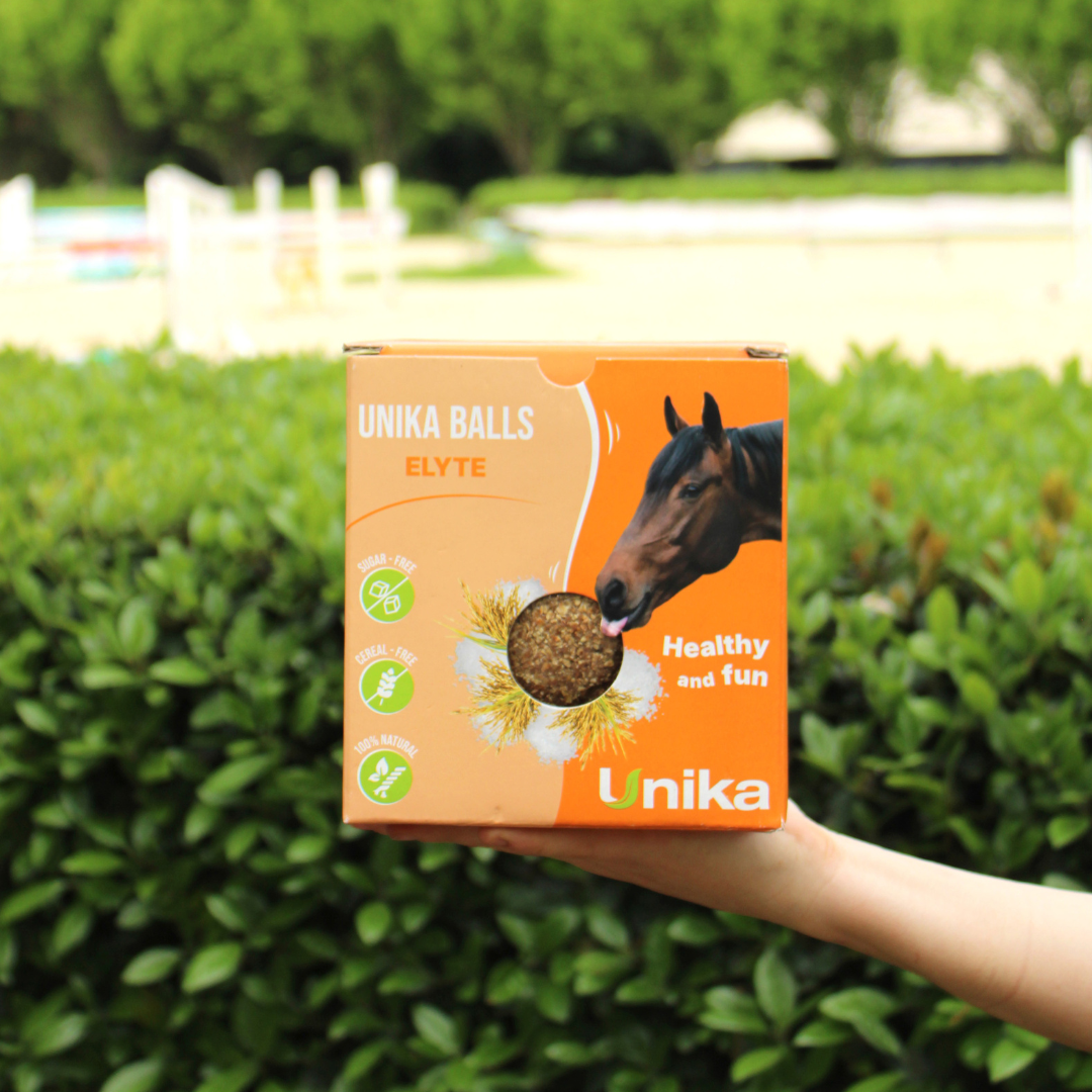 UNIQUE STABLE BALL COMPLEMENTARY FEED - 4