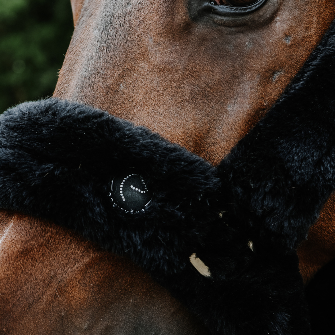 EQUITHÈME SNUGGY HALTER - 2