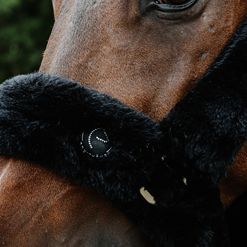EQUITHÈME SNUGGY HALTER