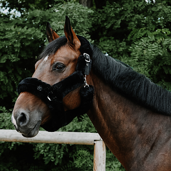 EQUITHÈME SNUGGY HALTER