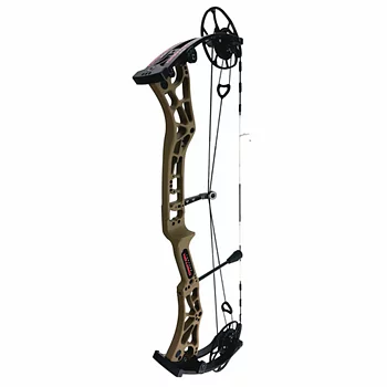 Darton Compound Bow Consequence 31 