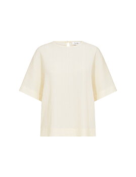 LR-REMY 1 TURTLEDOVE COMBI