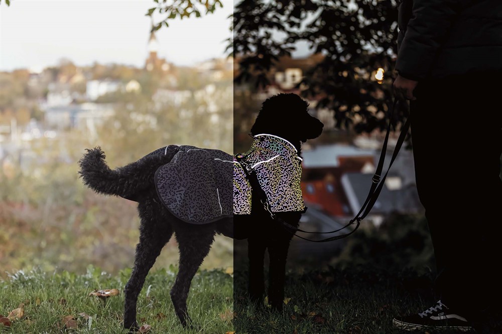 Trixie Limoux regntäcke för hund helt i reflex! - 4