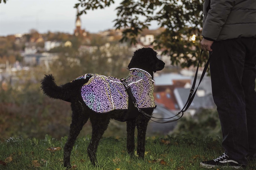 Trixie Limoux regntäcke för hund helt i reflex! - 2