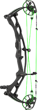 Carbon RX-10