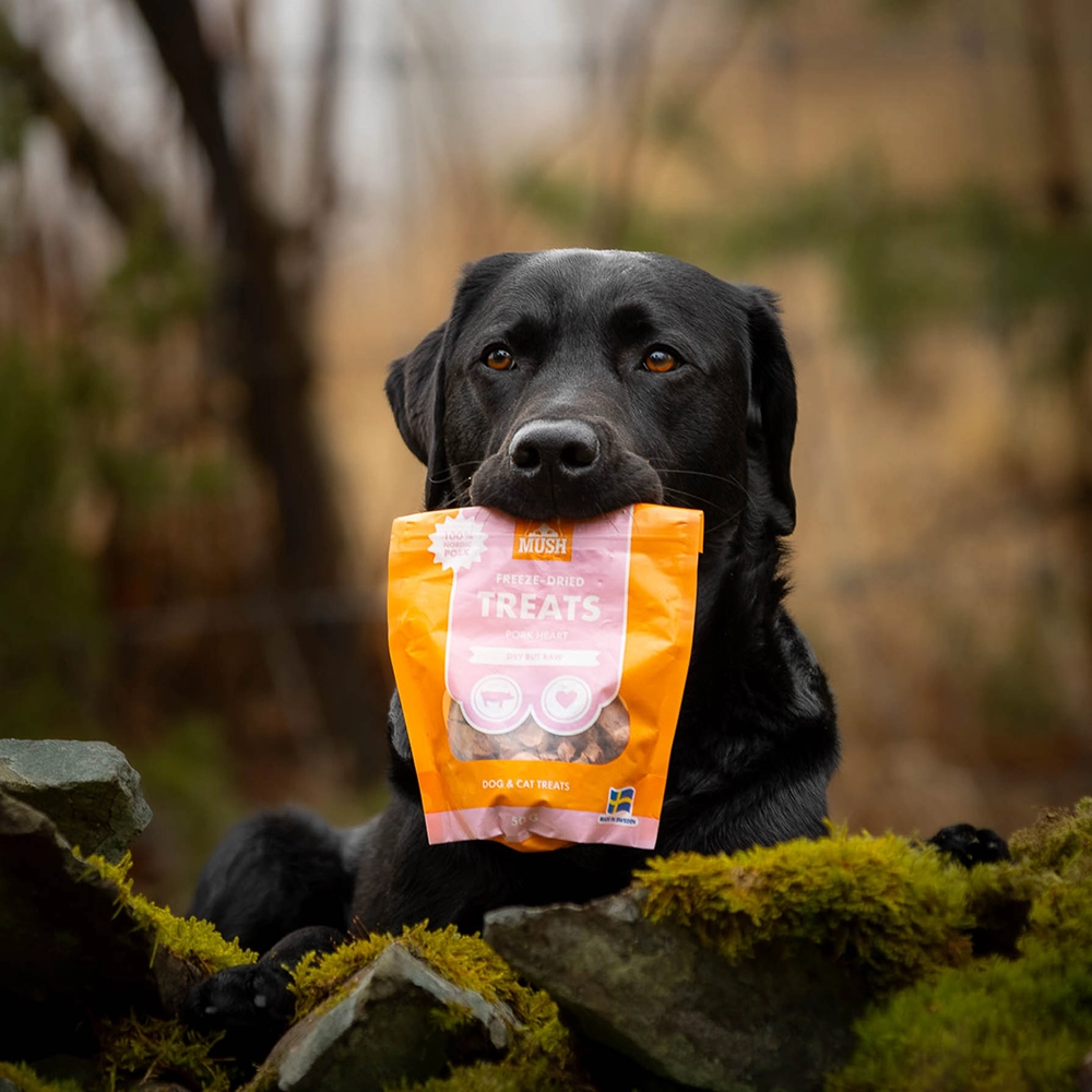 MUSH freeze-dried dog treats - 2