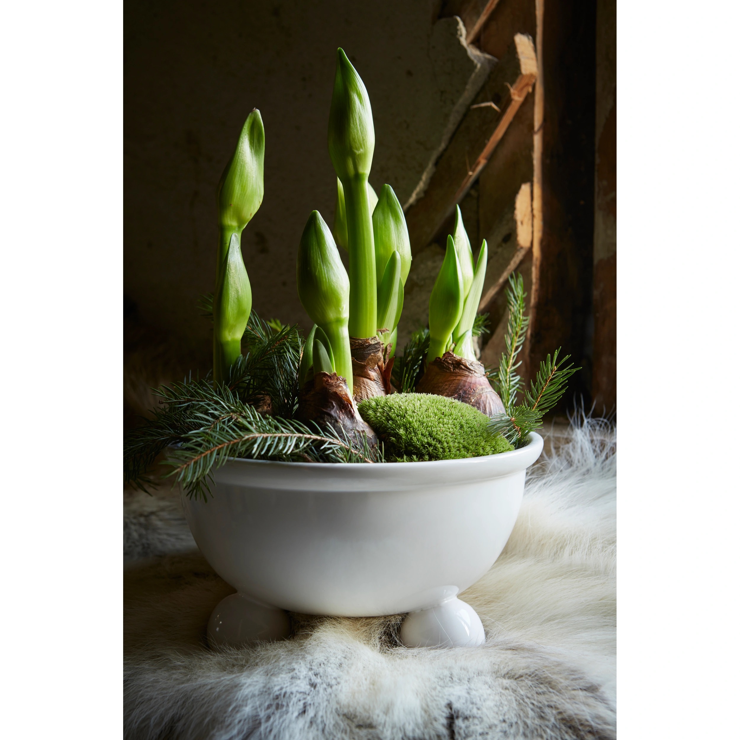 Kruka / Vit / Dia: 20cm