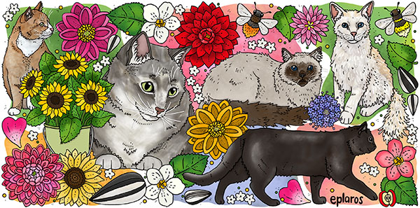 Vattenflaska - Katter - 2