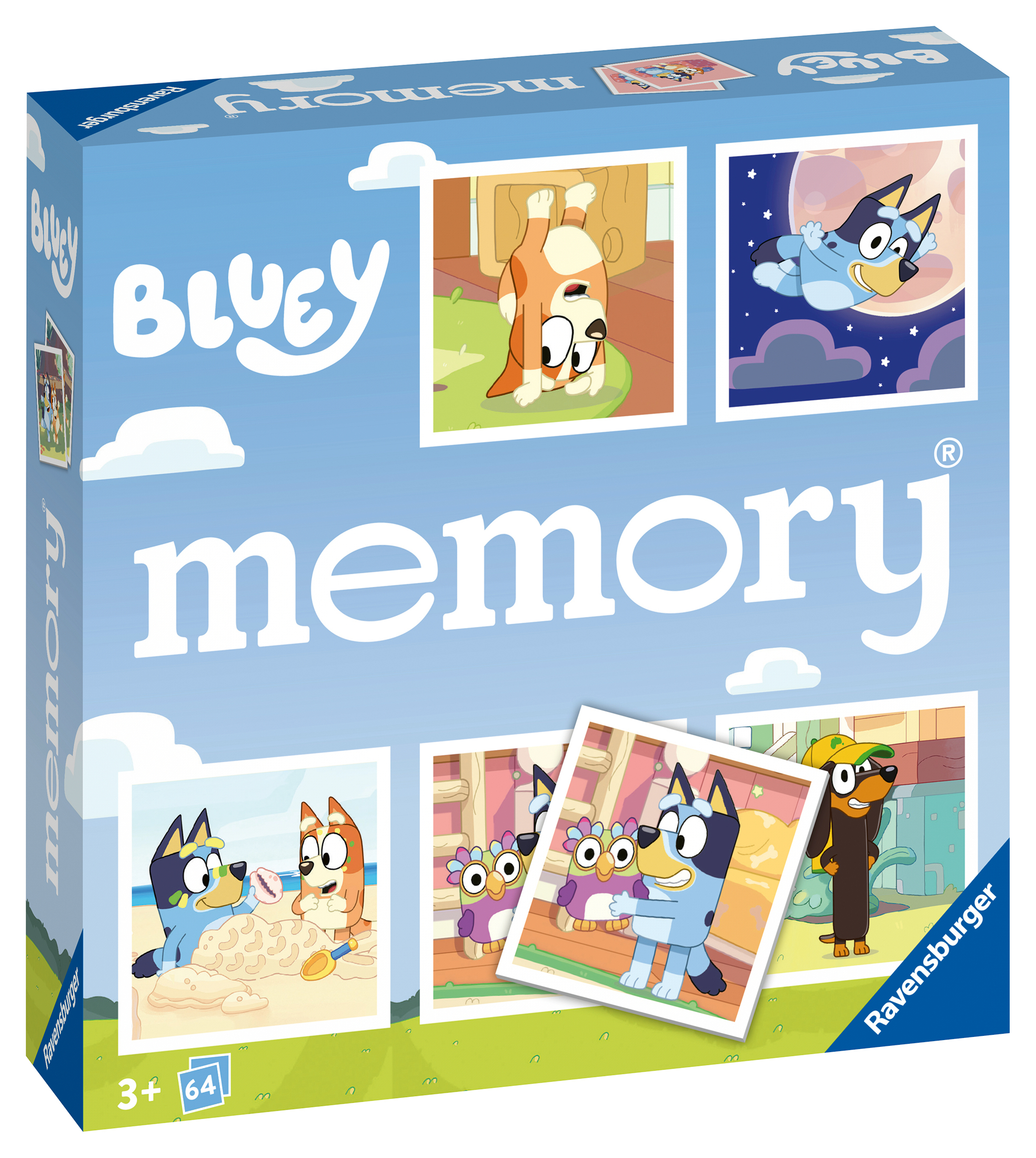 Bluey memory