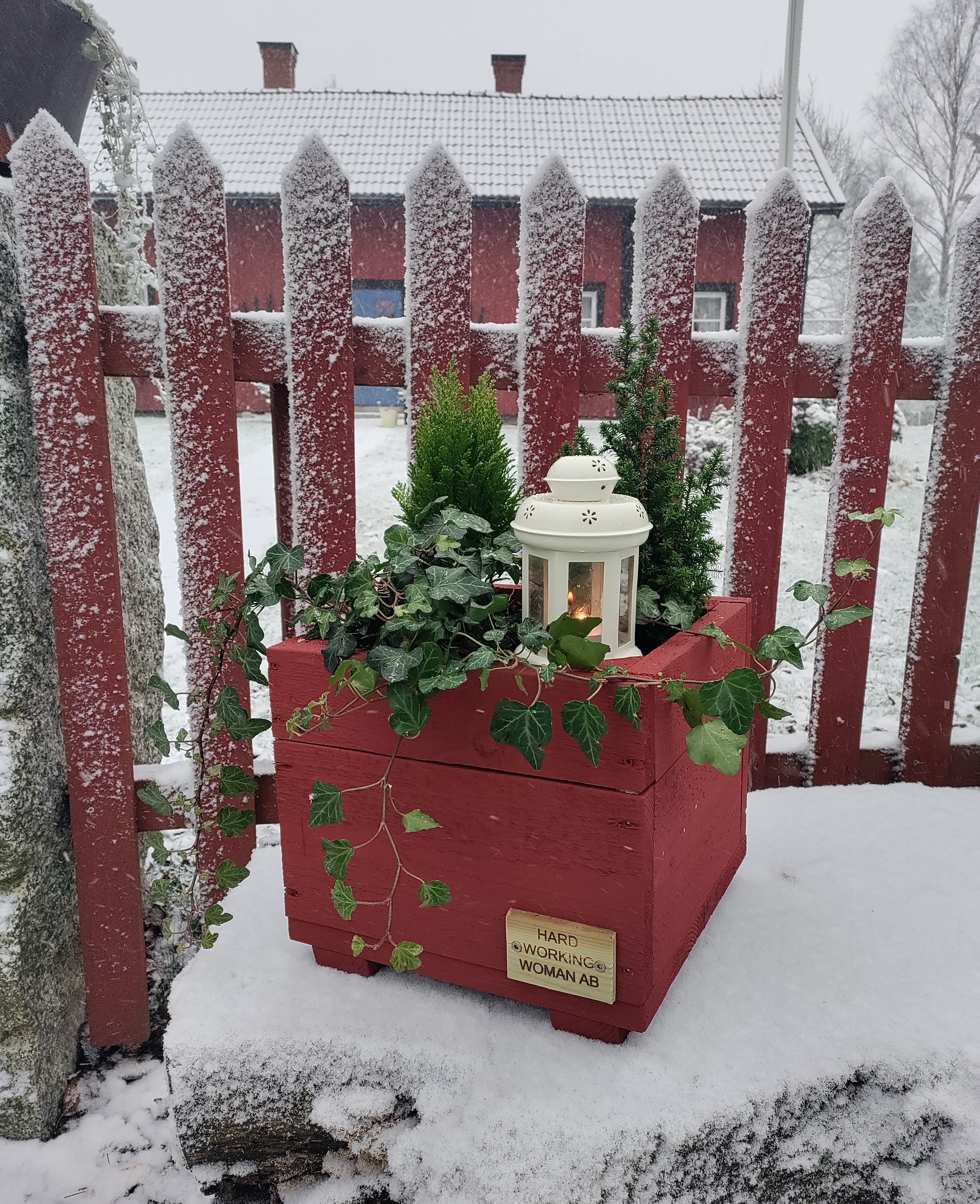 Blomkruka - 3
