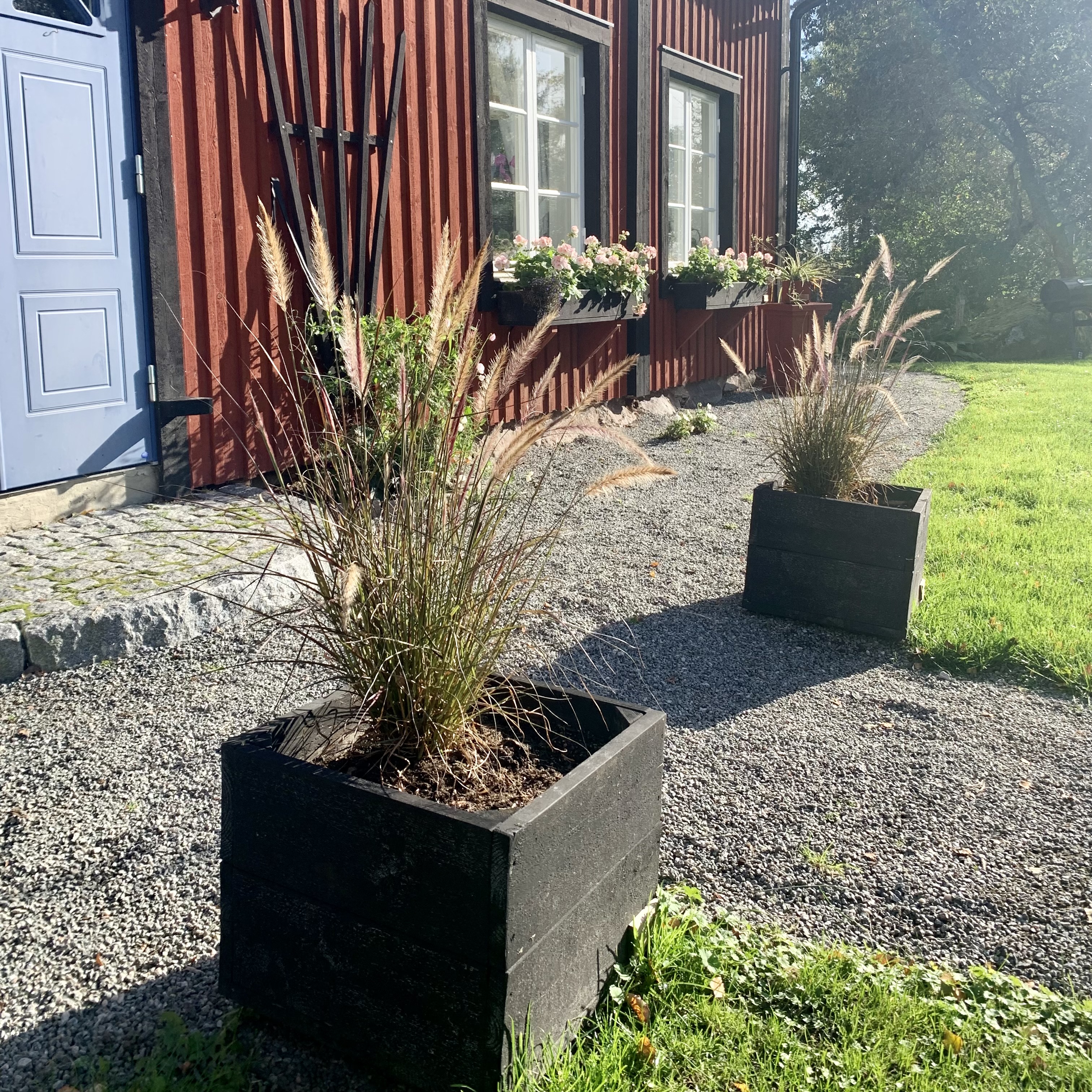 Blomkruka - 8