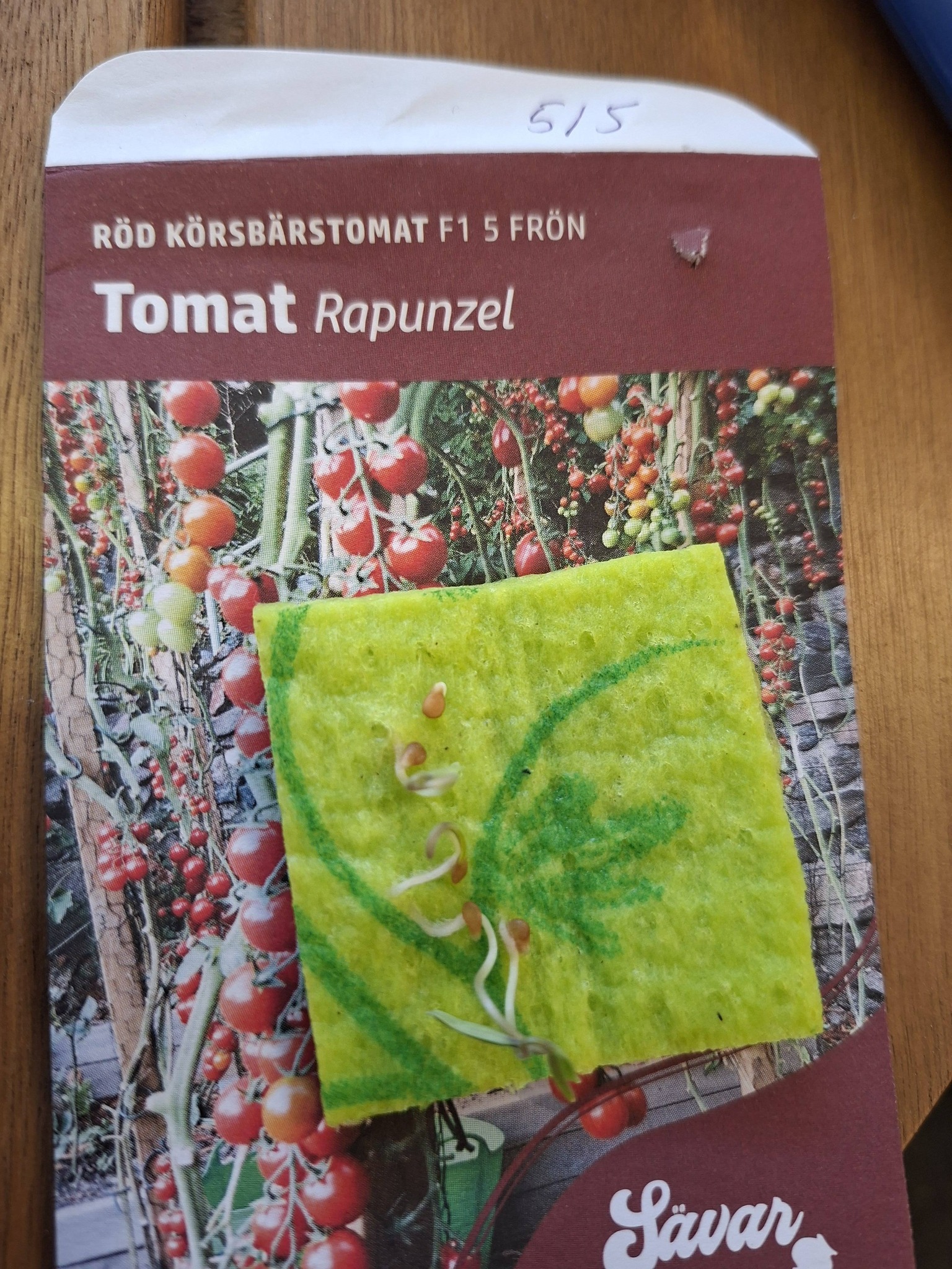 Tomat Rapunzel F1 5 frö - 11