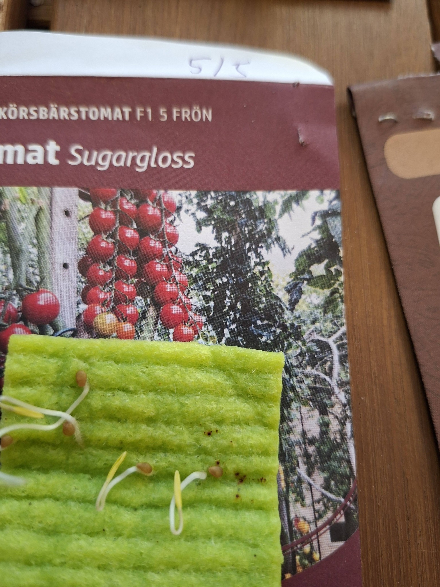 Tomat Sugargloss F1 5 frö,  - 5