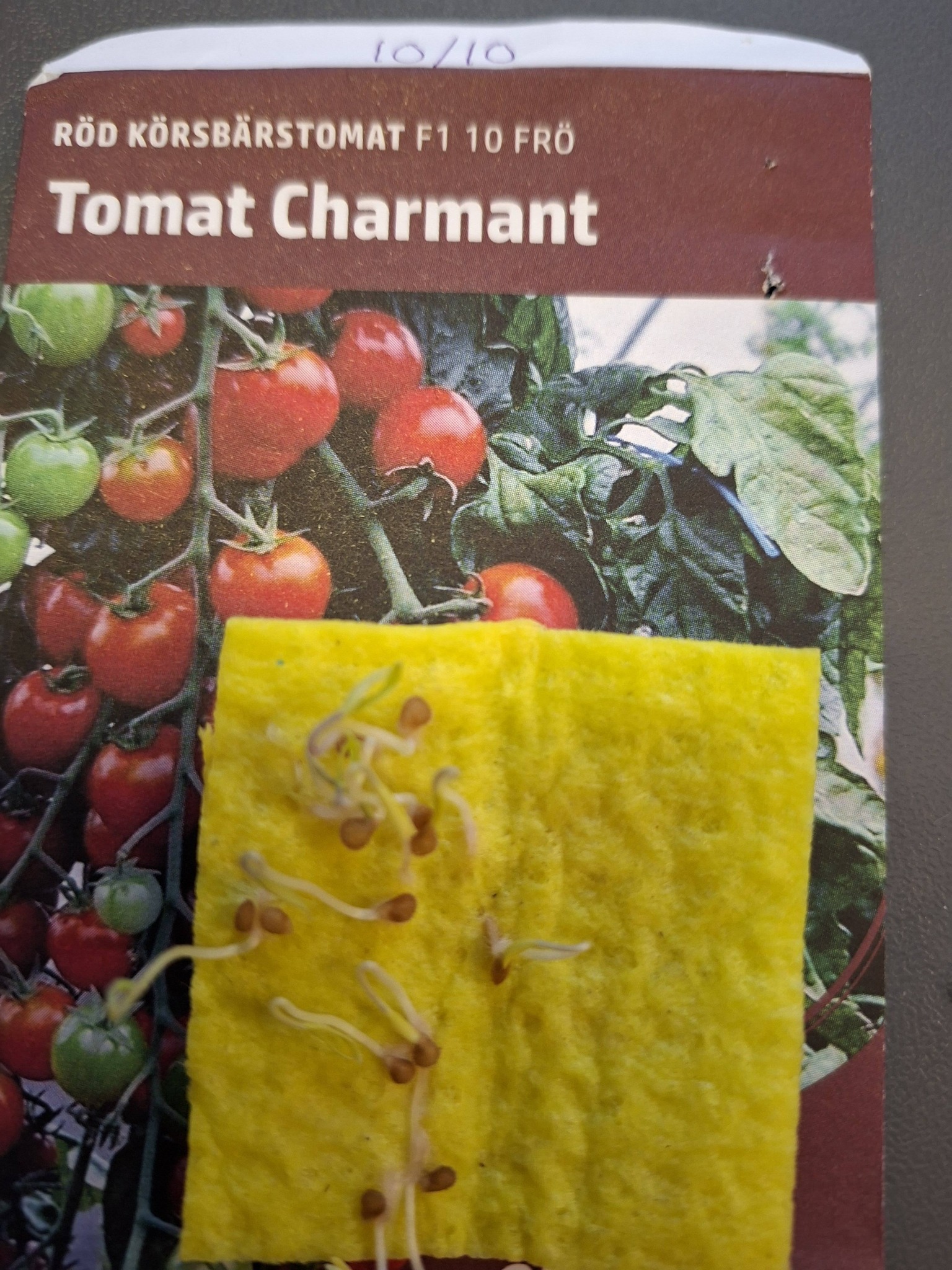 Tomat Charmant F1 10  frö lämpliga för pålodling - 3