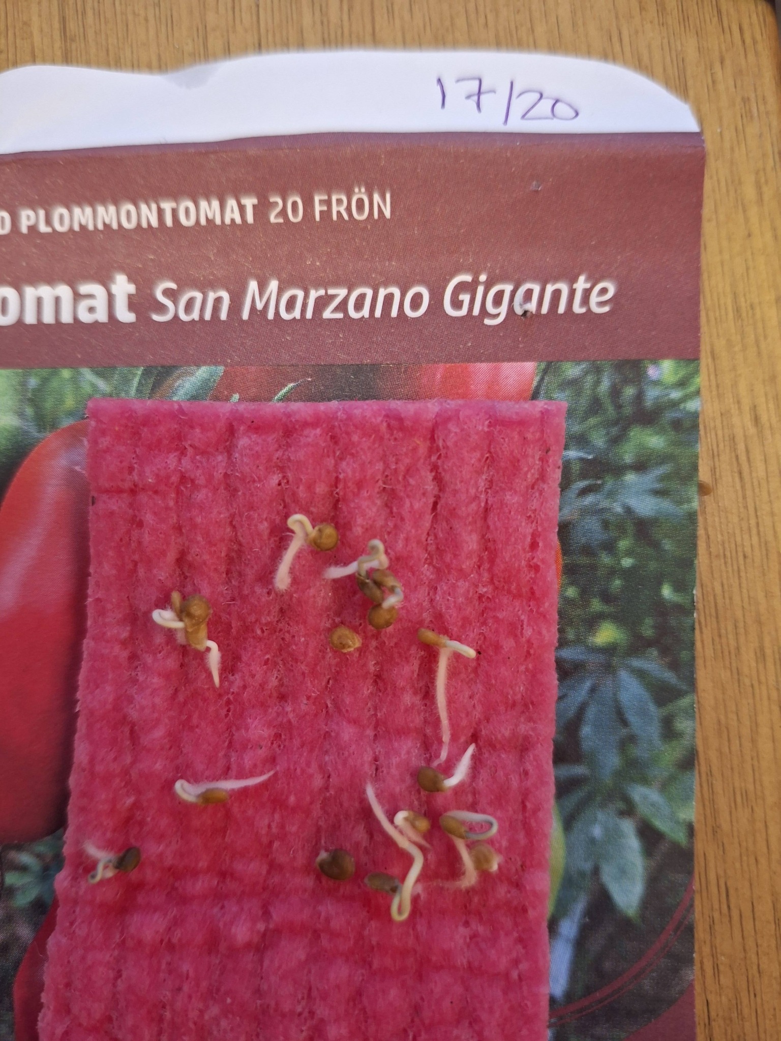 Tomat San Marzano Gigante 20  frö lämpliga för pålodling   - 4