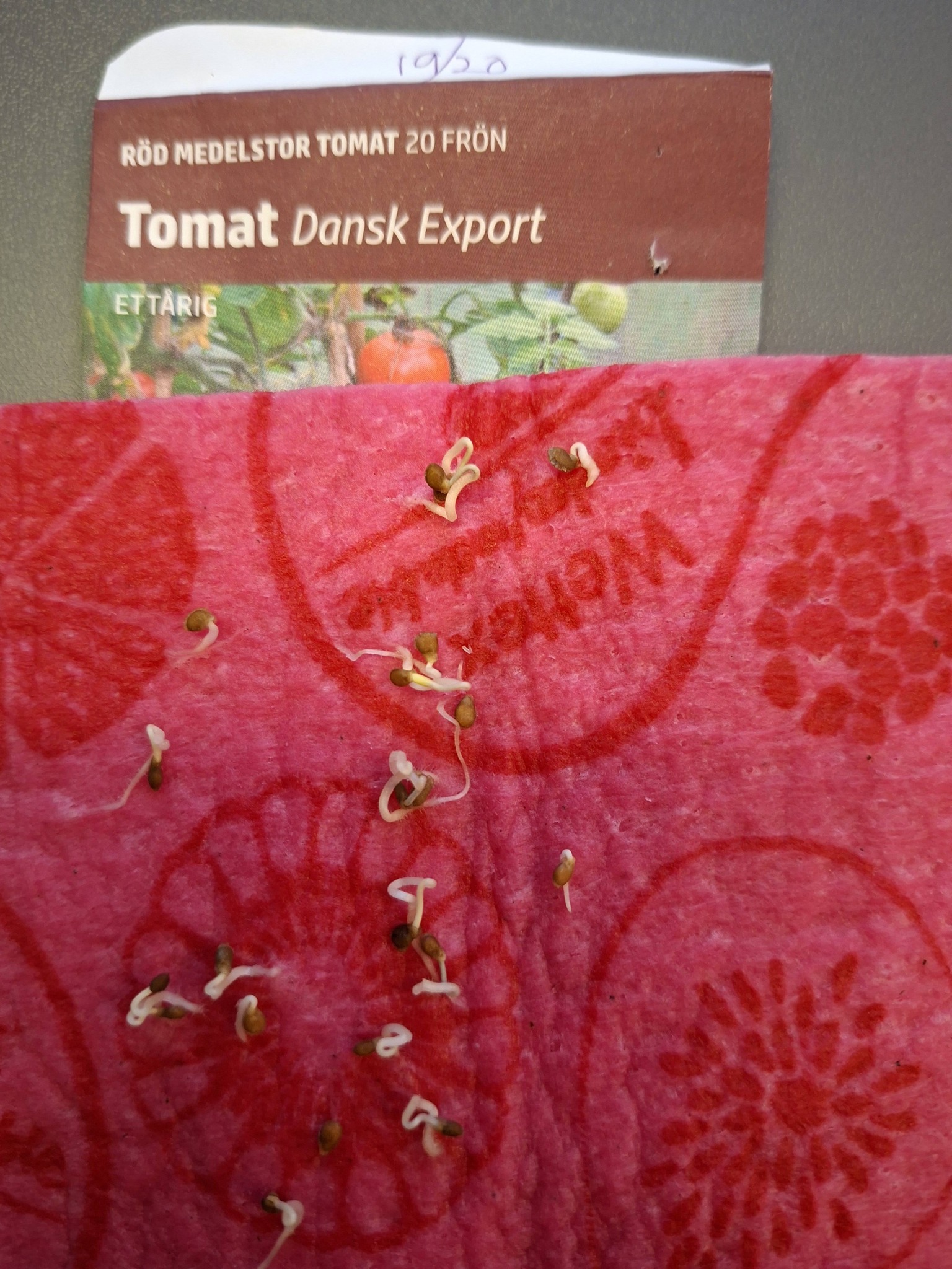 Tomat dansk export/Moneymaker 20 frö - 2