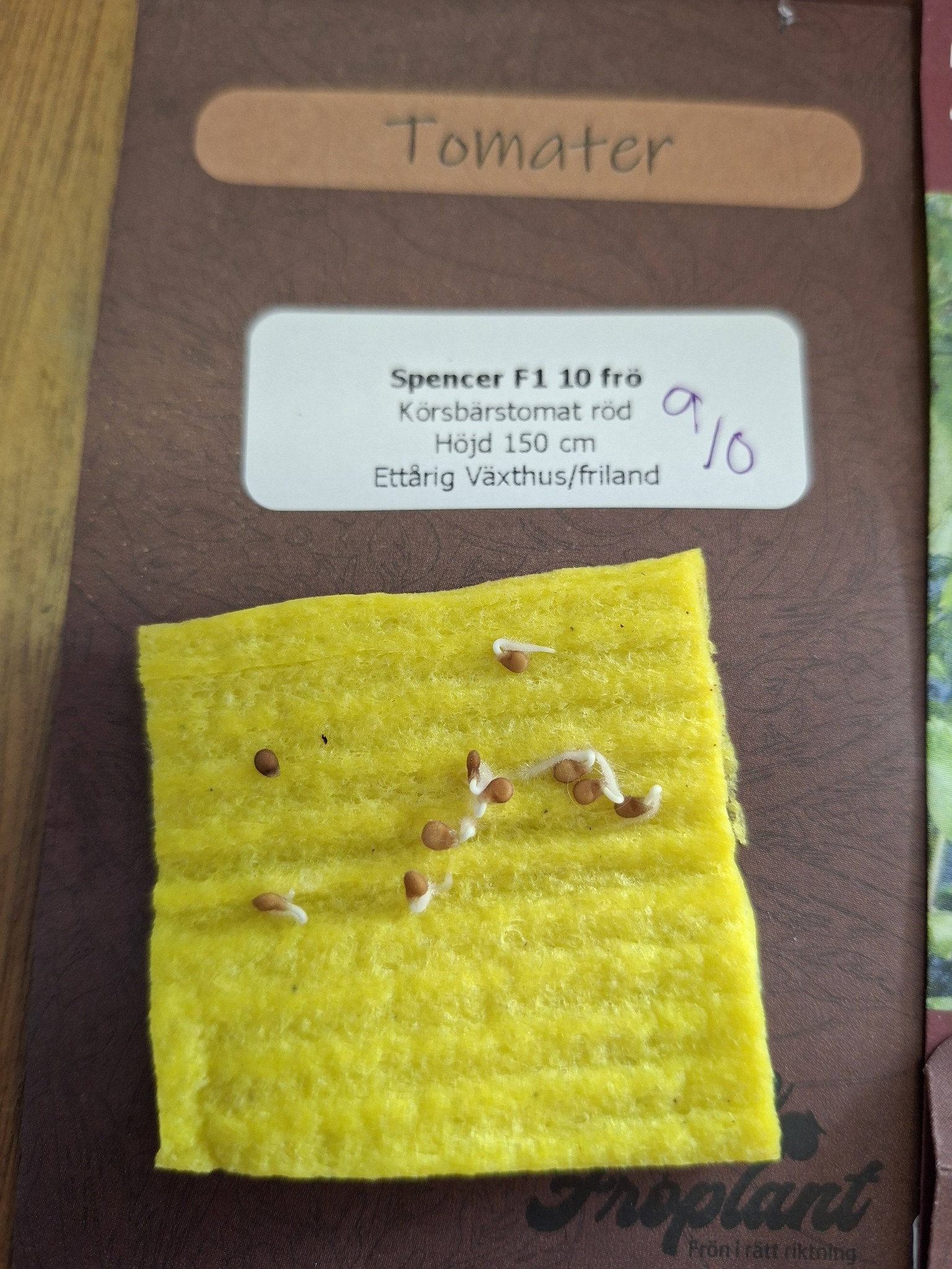 Tomat  F1 Spencer  10   röd körsbärstomatfrö lämplig för pålodling - 2