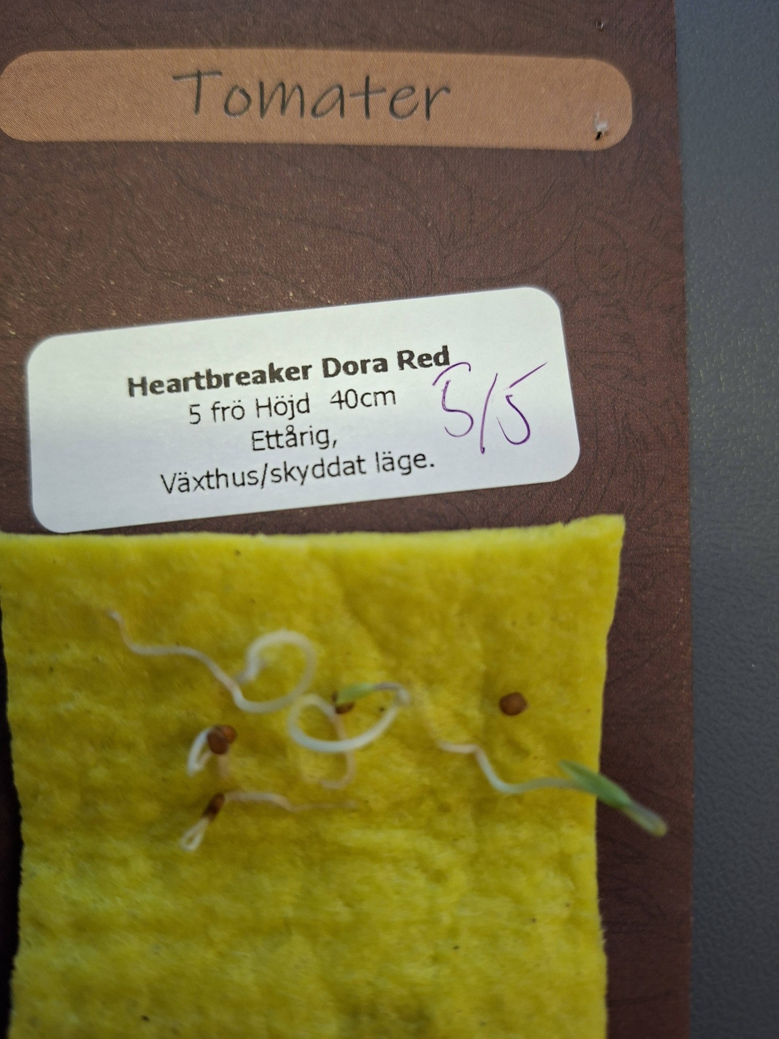 Tomat Heartbreaker Dora Red F1  4 frö - 2
