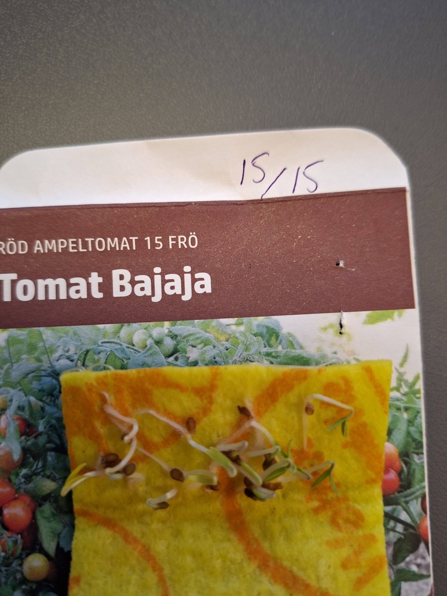 Tomat Bajaja  15  frö ampeltomat   - 2