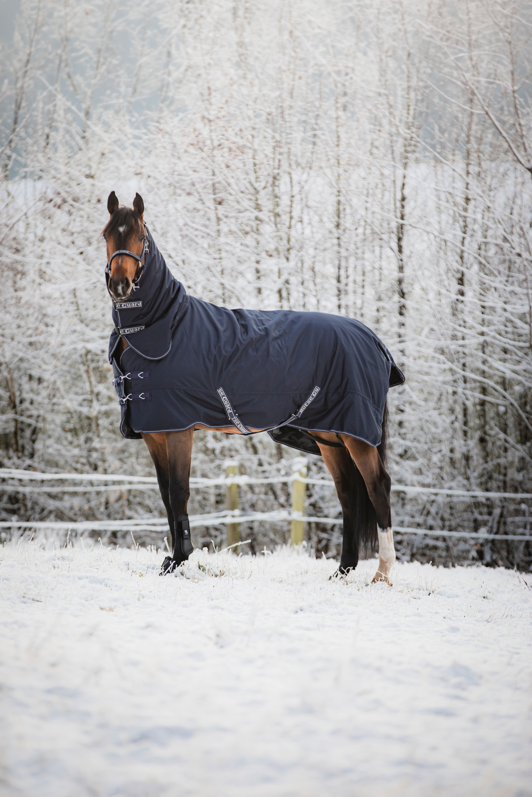 Horse Guard Lynn Combo 400g inkl avtagbar hals 1200d 105-165 cm - 3