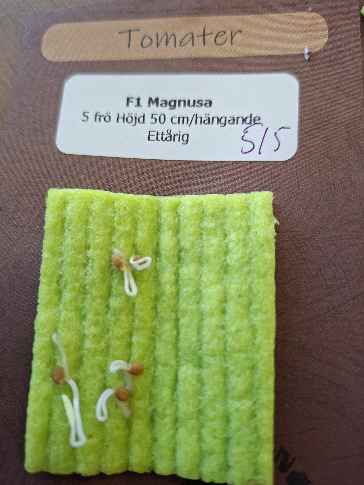 Tomat F1 Magnusa 100  Red  5  frön - 3
